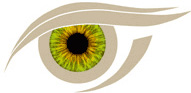 Dr. Anke Ramharter